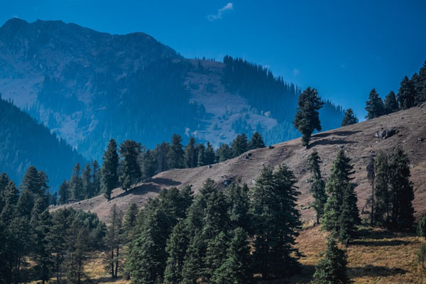 Pahalgam